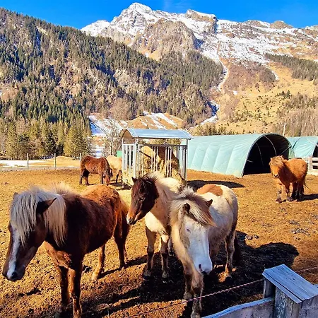 Almliesl Raur-738 * Bucheben