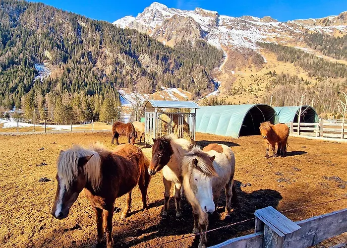 Almliesl Raur-738 * Bucheben